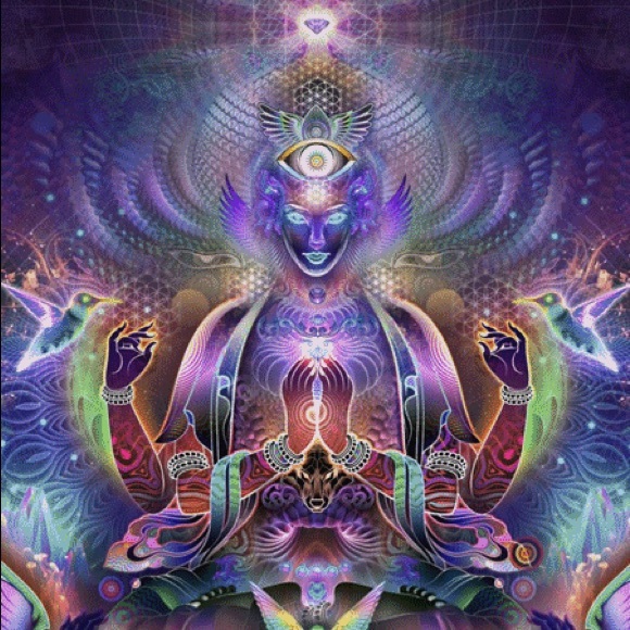 Meet your Posher, Lexi