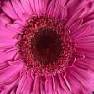 Meet your Posher, Cathy