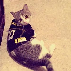 Meet your Posher, Sydney