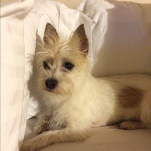 Meet your Posher, Annette