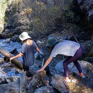 Meet your Posher, Beth