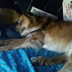 Meet your Posher, Sherry