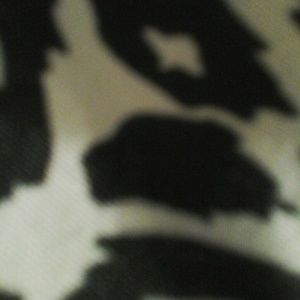 Meet your Posher, Bailey