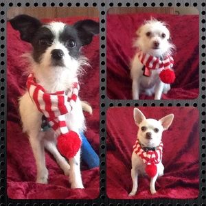 Meet your Posher, Jamie