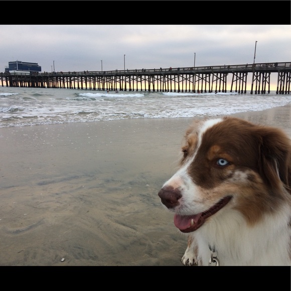 Meet your Posher, Tuca - Picture 3 of 4