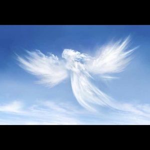 Meet your Posher, Virginia