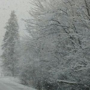 Meet your Posher, Jeni