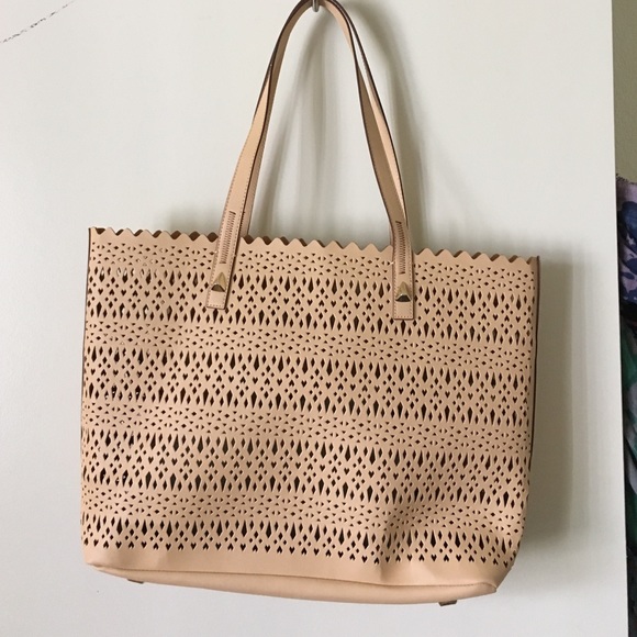 Stella & Dot Nude Bag!