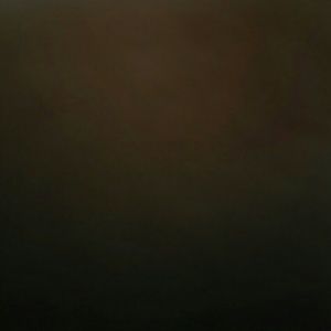 Meet your Posher, Chelsea