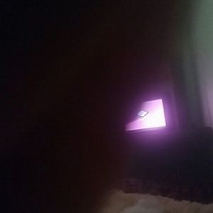 Meet your Posher, Bevan