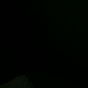 Meet your Posher, Arnott