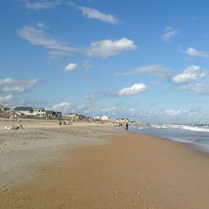 Meet your Posher, Casey