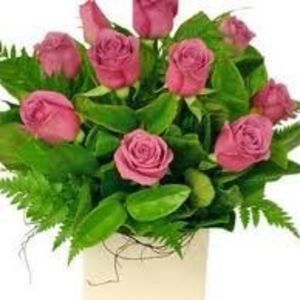 Meet your Posher, Beverly