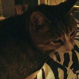 Meet your Posher, Desiree