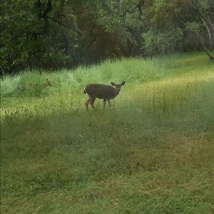 Meet your Posher, Chelsea