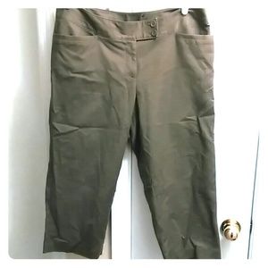 Lane Bryant Capri Pants