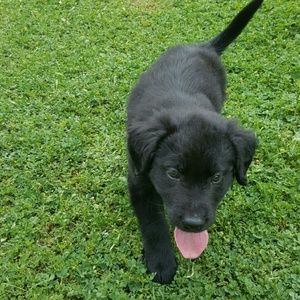 Meet your Posher, Tanya