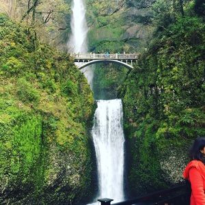 Meet your Posher, Cheyenne