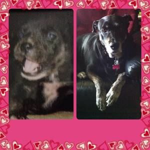 Meet your Posher, Lori