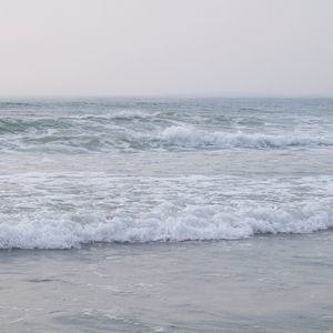 Meet your Posher, Janice