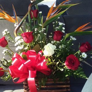 Meet your Posher, Julia