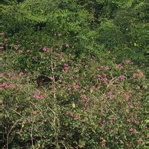 Meet your Posher, Randi