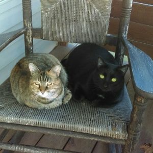 Meet your Posher, Debbie