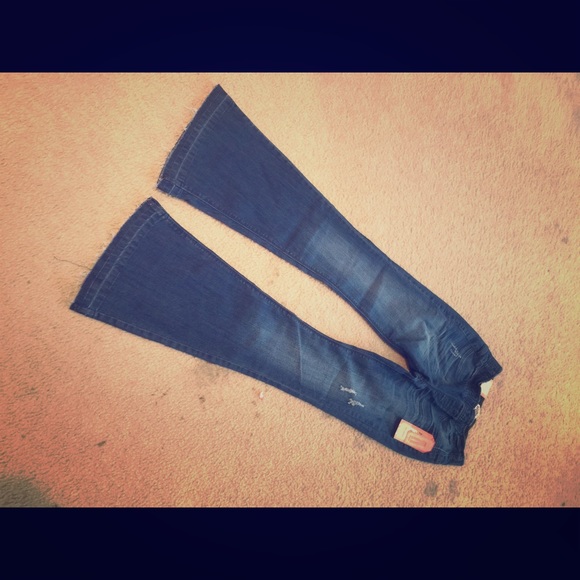 Mudd flare leg jeans