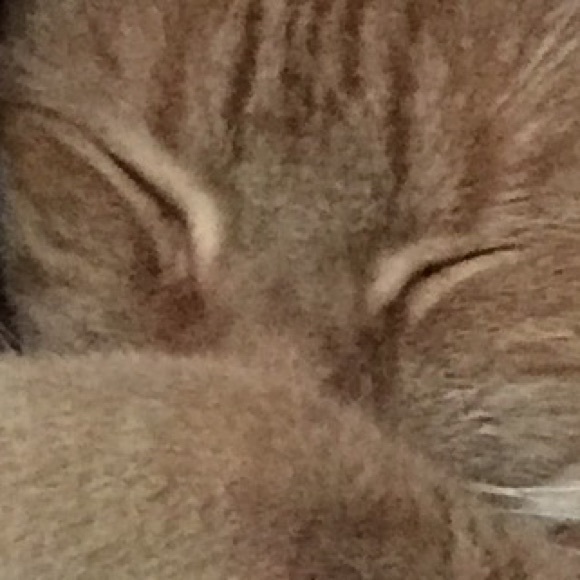 Meet your Posher, Jocelyn - Picture 1 of 1