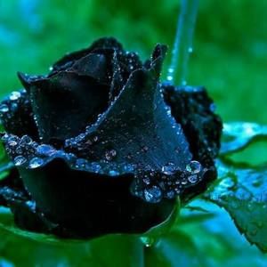 Meet your Posher, Stefania