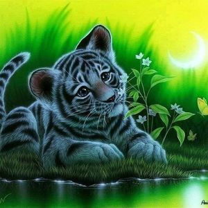 Meet your Posher, Judy