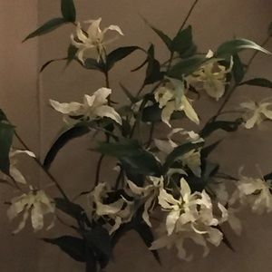 Meet your Posher, Harriette