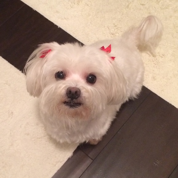 Meet your Posher, Linda