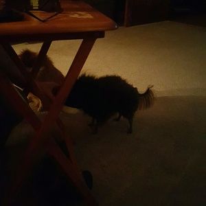 Meet your Posher, Beverly