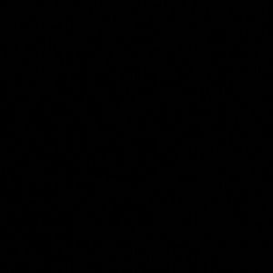 Meet your Posher, Cho