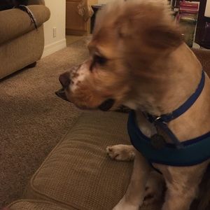 Meet your Posher, Lynnette