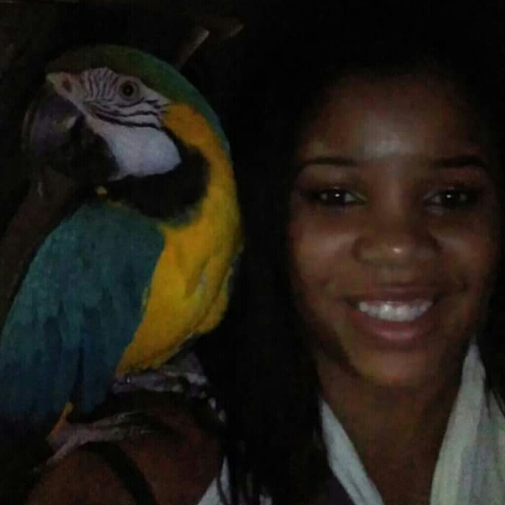 Meet your Posher, Virgo