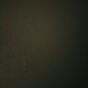 Meet your Posher, Lizbeth