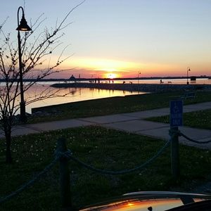 Meet your Posher, Amelia