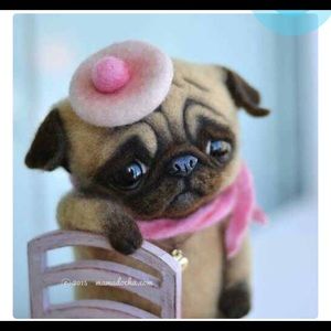 Meet your Posher, Donna