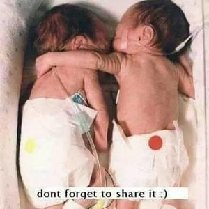 Meet your Posher, Haydee