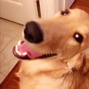 Meet your Posher, Egypt