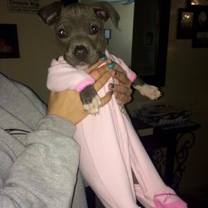 Meet your Posher, Abby