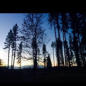 Meet your Posher, Peyton