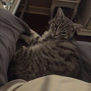 Meet your Posher, Bonnie