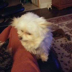 Meet your Posher, Debra