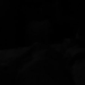 Meet your Posher, Darlene