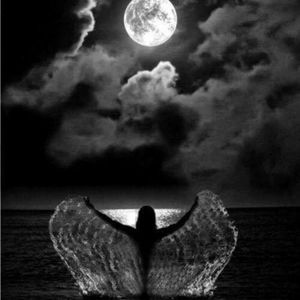 Meet your Posher, Billie