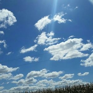 Meet your Posher, Blaine