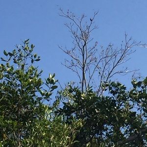 Meet your Posher, Arlene